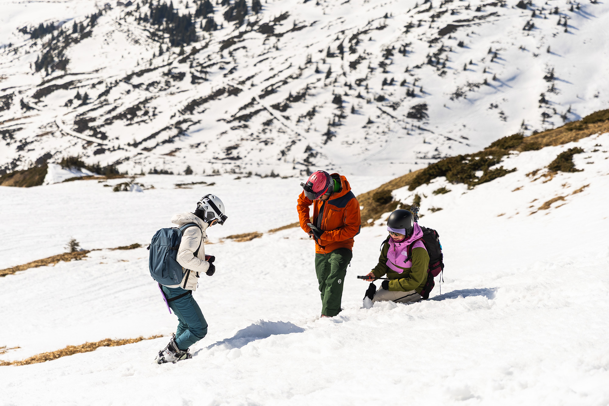 Freeride L2