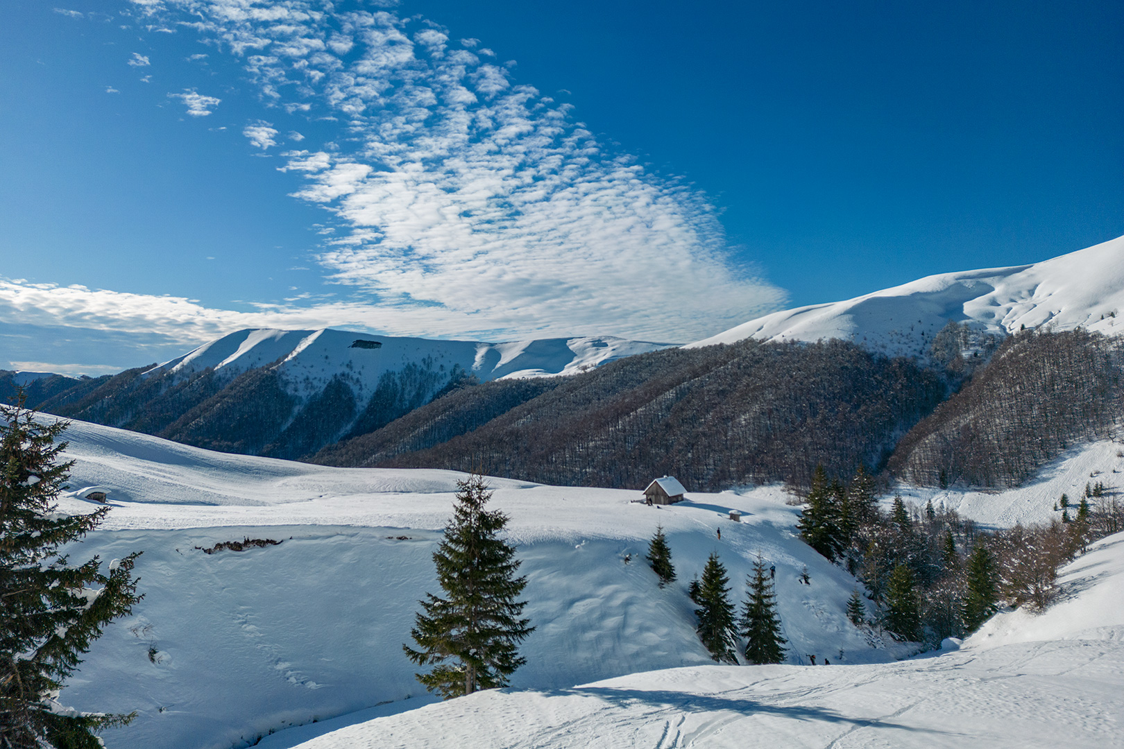 беккантрі школа