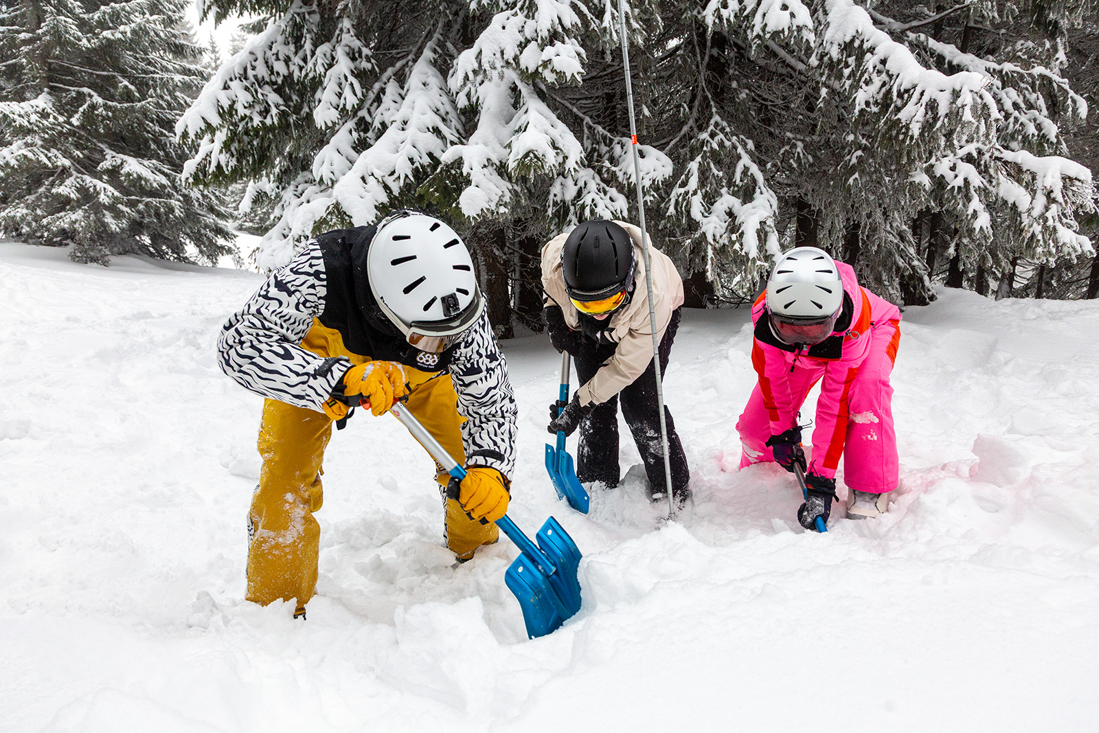 snow education