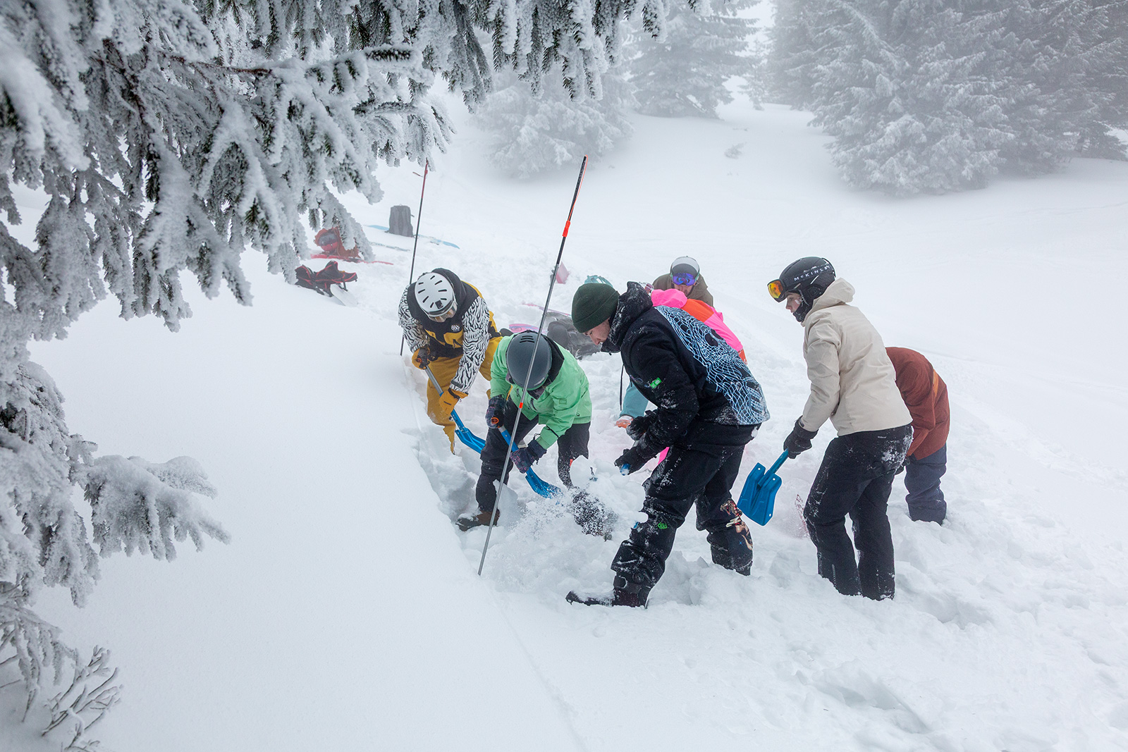 snow education